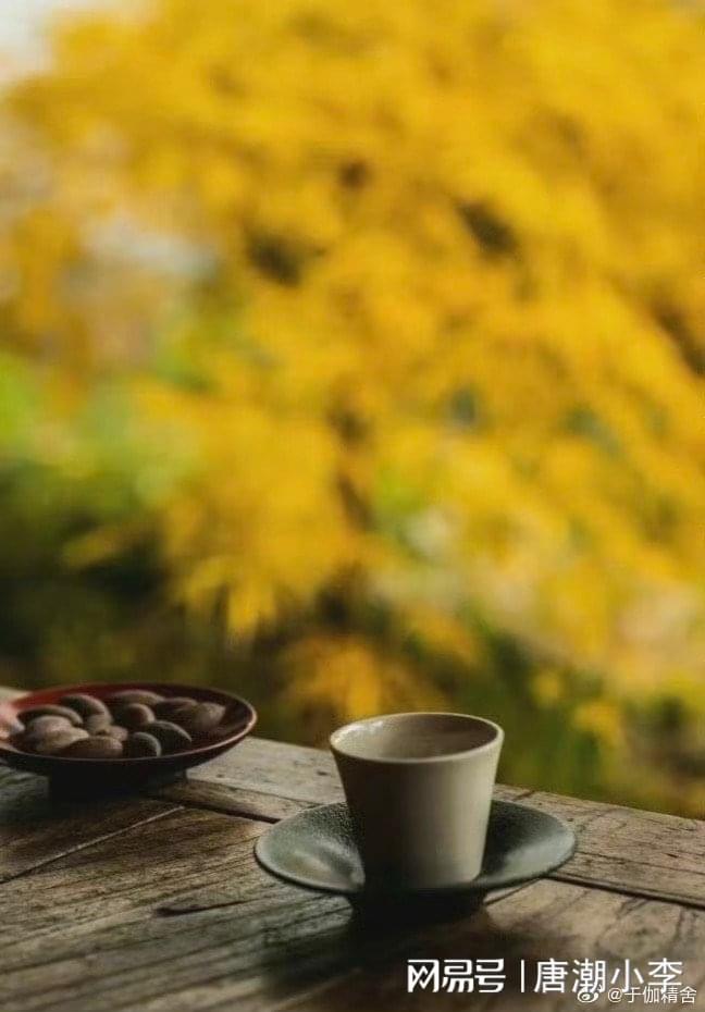 秘：为地球带来清新绿意！EVO视讯环保湿巾大揭(图3)