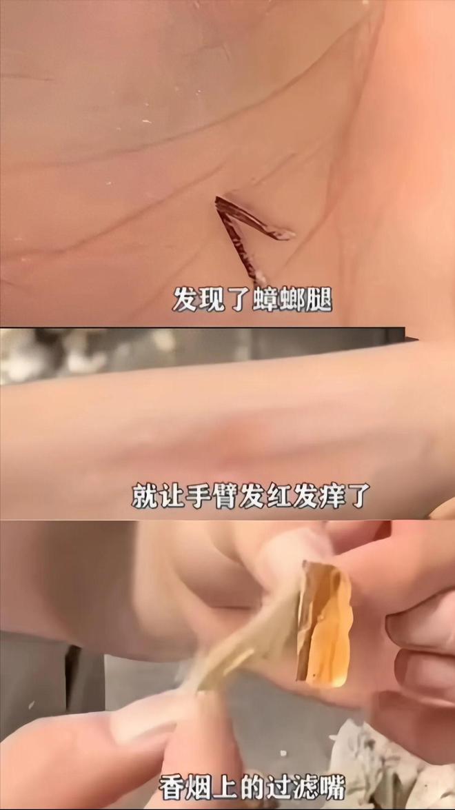开鞠躬致歉：不做任何辩解  评论炸锅EVO视讯真人ABC卫生巾创始人公(图5)