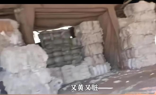 开鞠躬致歉：不做任何辩解  评论炸锅EVO视讯真人ABC卫生巾创始人公(图15)