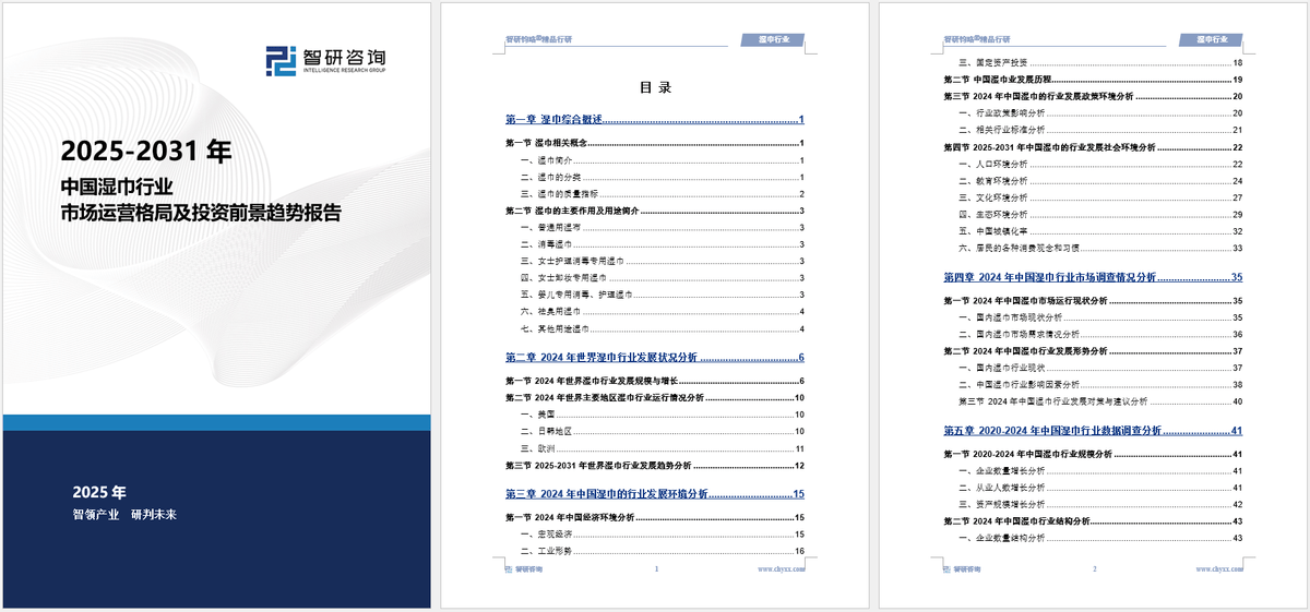 湿巾行业市场深度分析及发展前景研究报告EVO视讯平台智研咨询发布：2025年(图5)