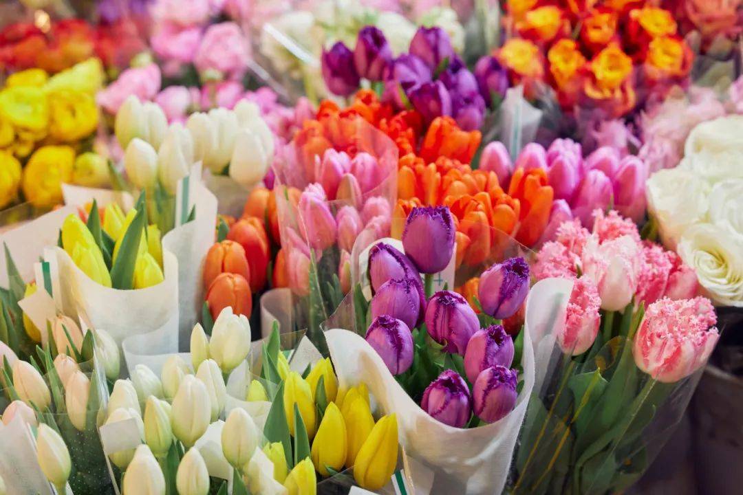 季消费节活动来了！EVO视讯正定县春(图8)